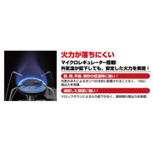 ふるさと納税 豊川市 【SOTO】レギュレータ...の詳細画像2
