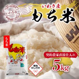 ふるさと納税 いわき市 【無地熨斗】福島県　いわき市産　もち米こがねもち　お米　5kg　お米のおいし...