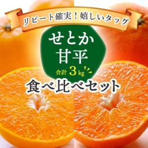 ふるさと納税 八幡浜市 【先行受付】人気柑橘2品種をセットに!せとか・甘平 食べ比べ 合計3kg【訳...