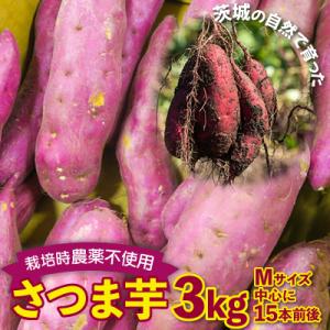 さつまいも　紅はるか　栽培期間中農薬不使用栽培　3kg