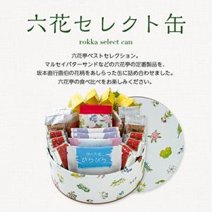 ふるさと納税 帯広市 六花亭・六花セレクト缶(...の詳細画像1