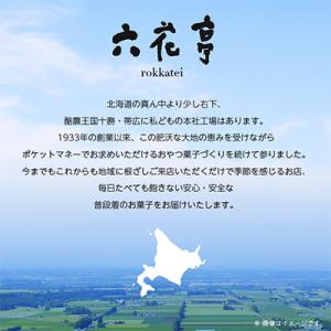 ふるさと納税 帯広市 六花亭・六花セレクト缶(...の詳細画像3