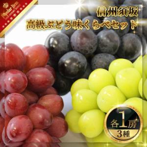 ふるさと納税 須坂市 【2024年発送】シャインマスカット・ナガノパープル・クイーンルージュ(R)各1房 信州グルメ市場