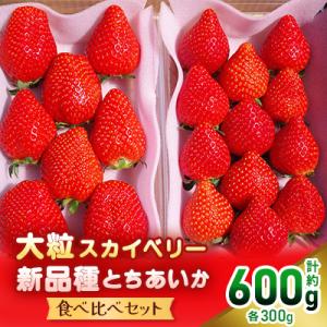 【先行予約・数量限定】大粒スカイベリー&新品種とちあいか 食べ比べセット600g　栃木　いちご