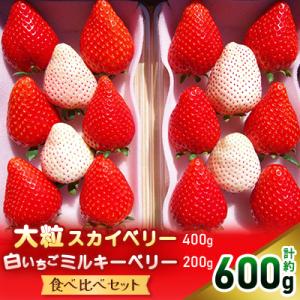 【先行予約・数量限定】大粒スカイベリー 白いちごミルキーベリー 食べ比べセット　600g　栃木県産