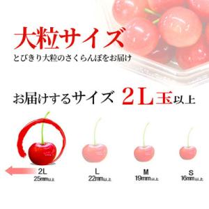 ふるさと納税 山形県 【順次お届け中!】 さく...の詳細画像3