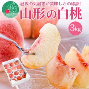 ふるさと納税 山形県 桃 白桃 3kg 8〜12玉前後 ギフト用 品種おまかせ 山形県産 【令和8年...