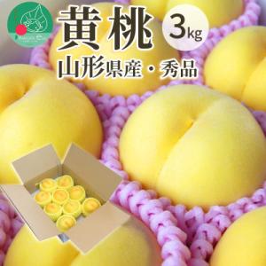 黄桃 3kg 8～12玉前後 秀品 ギフト用 大玉 品種おまかせ 山形県産 【令和8年産 先行予約】