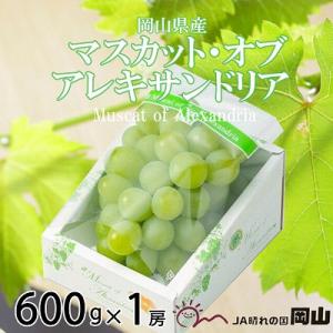 ふるさと納税 岡山市 【2026年8月下旬より発送】岡山県産　マスカット・オブ・アレキサンドリア　600g×1房