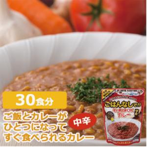 ふるさと納税 江南市 三徳屋 そのまんまOKカレー 中辛 30食分