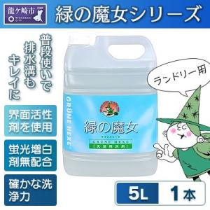 ふるさと納税専門誌掲載品　最大約250回使用可　沖縄等配送可能　緑の魔女ランドリー5L×1
