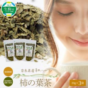 ふるさと納税 生駒市 奈良県産柿の葉茶　20g×3