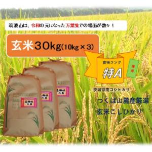 ふるさと納税 石岡市 【玄米30kg⇒小分け3袋】★★筑波山麓厳選検査1等米こしひかり【恋瀬姫の舞】...