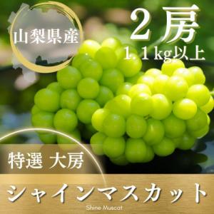 【2026年発送】シャインマスカット 2房 1.1kg以上 山梨県 山梨市産