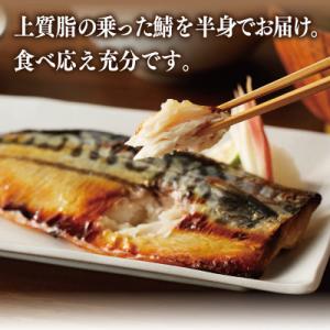 ふるさと納税 泉佐野市 【上質脂が自慢!】鯖の...の詳細画像1