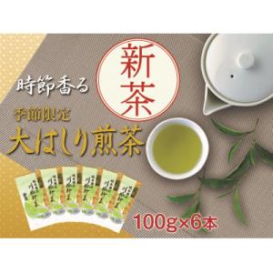 ふるさと納税 川根本町 坂本園の新茶 静岡川根茶大走り新茶100g×6本【5月上旬〜6月末発送】