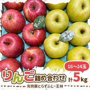 ふるさと納税 青森市 【2024年先行受付】りんご 完熟葉とらずふじ・王林詰め合わせ 5kg (16〜24玉)