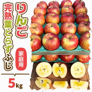 (2026年産予約)当園人気第1位!!【青森市産 完熟葉とらずふじ】約5kg16～23玉 (家庭用)
