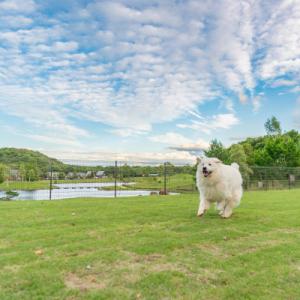 ふるさと納税 天栄村 エンゼルフォレスト白河高...の詳細画像2