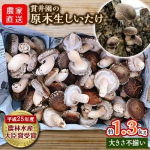 ふるさと納税 入間市 生産者直送! 貫井園の原木生しいたけ