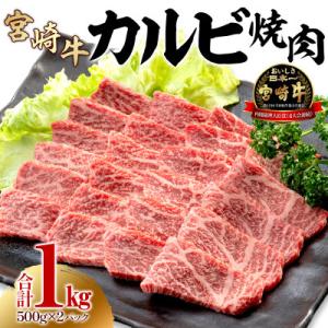 史上初内閣総理大臣賞4連覇 宮崎牛 A4～A5 黒毛和牛 牛肉 カルビ 焼肉 1kg(500g×2)