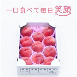 【令和8年発送】山形 もぎたて白桃 　3kg　ギフト箱入