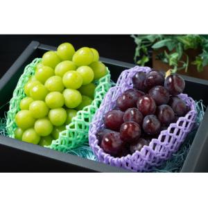 ふるさと納税 笛吹市 クリスマスシャインマスカット2房(シャインマスカット、富士の輝セット)1.3k...