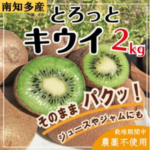 ふるさと納税 南知多町 【期間限定】とろっとキウイ 2kg サイズ混合【栽培期間中農薬不使用】