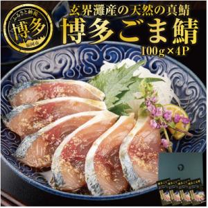 玄界灘産 天然真鯖 博多ごま鯖　400g(100g×4パック) JX08