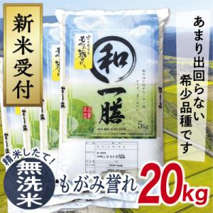 ふるさと納税 最上町 【令和6年産先行受付】山形県産もがみ誉れ20kg(無洗米)