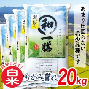 【白米】令和7年産山形県産もがみ誉れ20kg