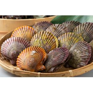 夜光貝（屋久島近海モノ 殻付き） : やくしま市場 - 通販 - Yahoo