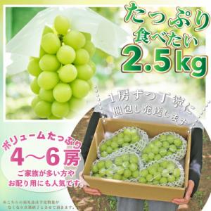 【2027年 発送】山梨県 笛吹市 シャインマスカット 2.5kg以上(4～6房) 山梨の人気果物