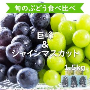 完熟巨峰・シャインマスカット食べ比べ 5パック 約1.5kg