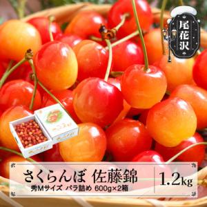 ふるさと納税 尾花沢市 さくらんぼ 佐藤錦 秀Mサイズ