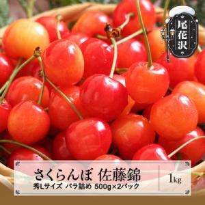 ふるさと納税 尾花沢市 さくらんぼ 佐藤錦 秀Lサイズ 1kg(500g×2パック) バラ詰め 20...