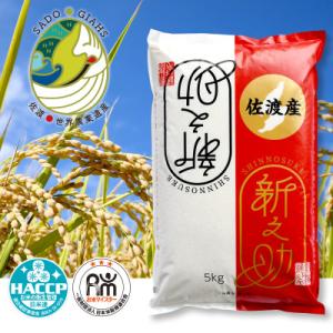 新潟県佐渡市 新之助 精米 5kg
