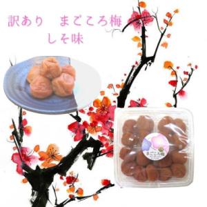 ふるさと納税 白浜町 訳あり梅干し まごころ梅 ...の商品画像