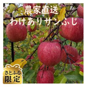 ふるさと納税 中山町 【さとふる限定】令和7年産 農家直送 わけあり「サンふじりんご」約10キロ