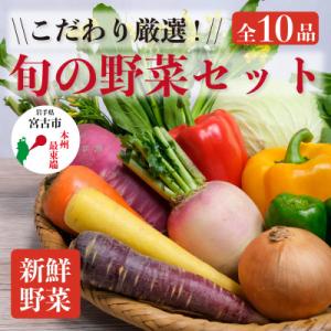 【新鮮野菜】こだわり厳選!旬の野菜セット