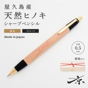 ふるさと納税 南木曽町 【野原工芸】こおしんづかの槐のボールペン