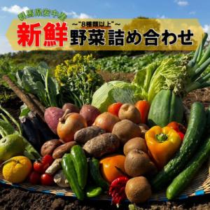 四季折々の新鮮野菜詰め合わせ　旬をお届け!【8種類以上】