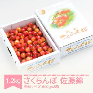 ふるさと納税 村山市 さくらんぼ 佐藤錦 秀Mサ...の商品画像