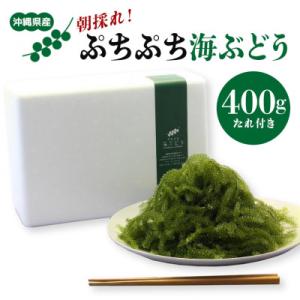 朝採れ!ぷちぷち海ぶどう400g