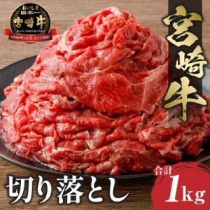 史上初内閣総理大臣賞4連覇 宮崎牛 A4～A5 牛肉 切り落とし 合計1kg (500g×2パック)