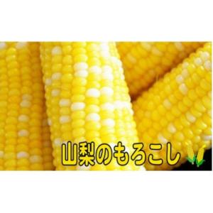 【先行受付】果物より甘い!市川三郷町産　甘々娘(とうもろこし)5本入り　1本350g以上!
