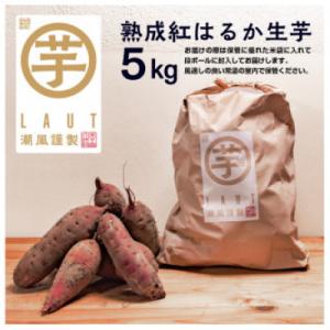 ふるさと納税 大洗町 【先行予約 2025年12月下旬〜順次発送】干し芋屋のさつまいも　熟成紅はるか...