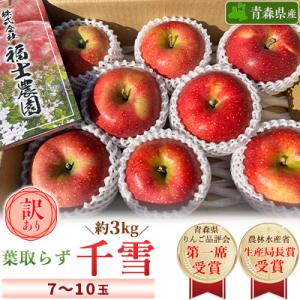 「葉取らず千雪」約3kg・訳あり家庭用りんご