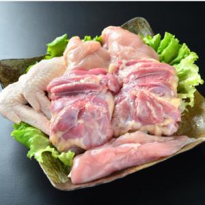 ふるさと納税 田原市 鶏三和の純鶏名古屋コーチン正肉セット770g