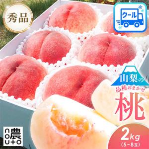 マイハート 希少品種 高級ぶどう 約1.2〜1.5kg 2房 山梨県産 非常に